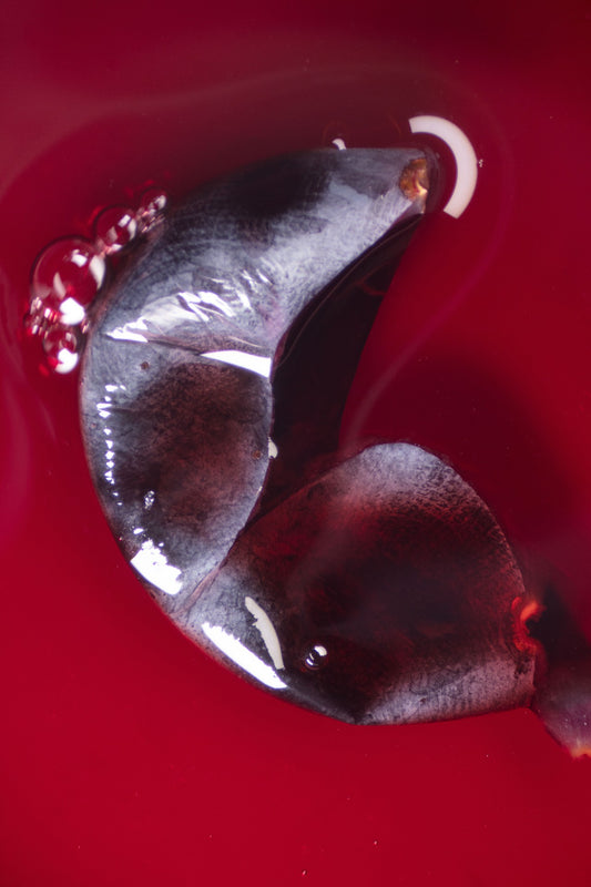 resveratrol wine: halved grape