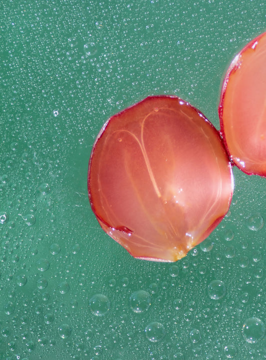 Biodynamic wine: Closeup of wine grapes