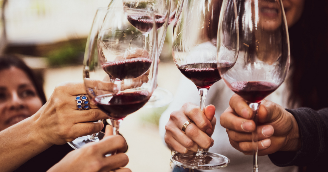 wine tasting for sonoma vs napa wines