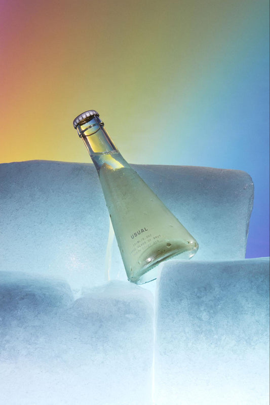 Chenin Blanc wine: Usual Wines bottle leaning against a block of ice